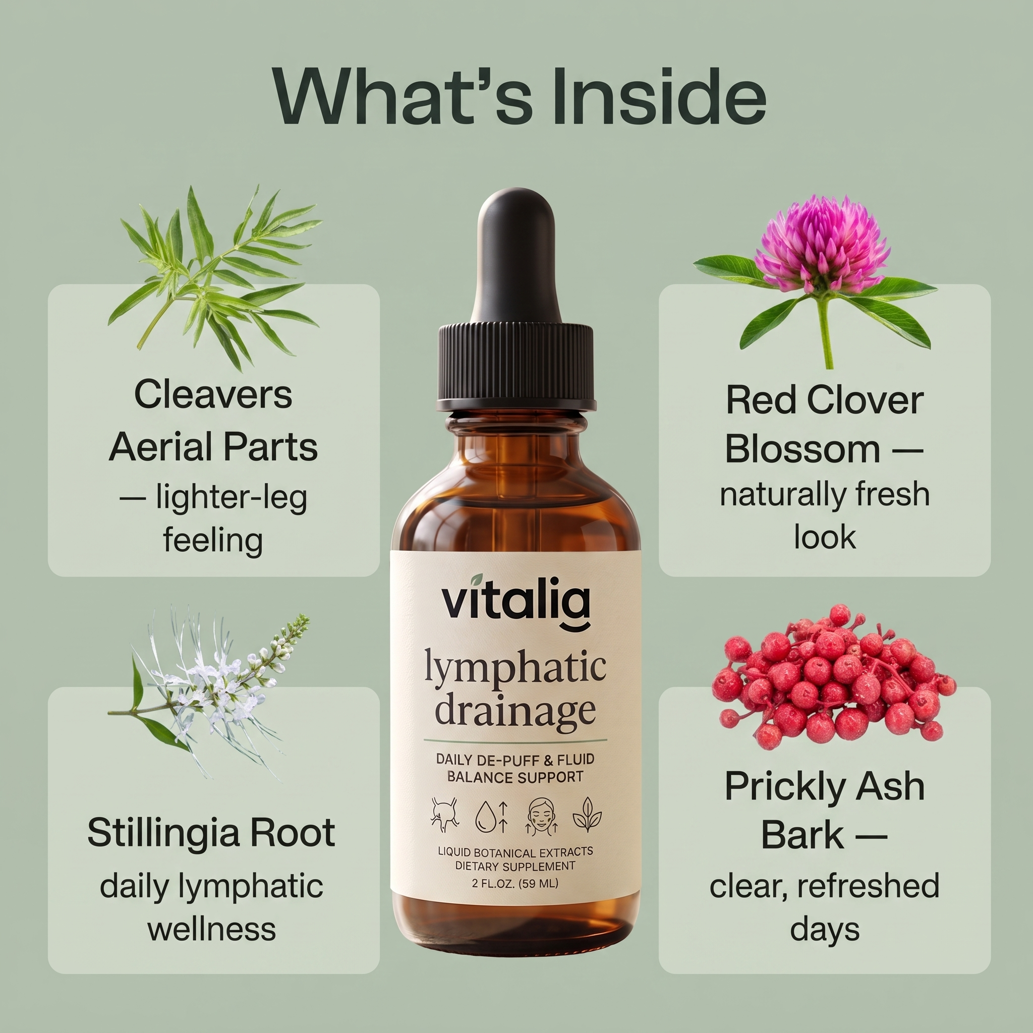 Vitalia® Lymphatic Drainage Drops